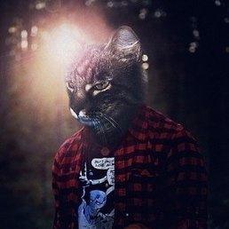 �������, ������-��-����, 21 ���