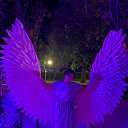 ���� ����, ������, 54 ���� - ��������� 12 ������� 2023 � ������ ���� ����������
