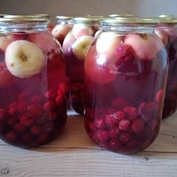 ����, ����������, 43 ����