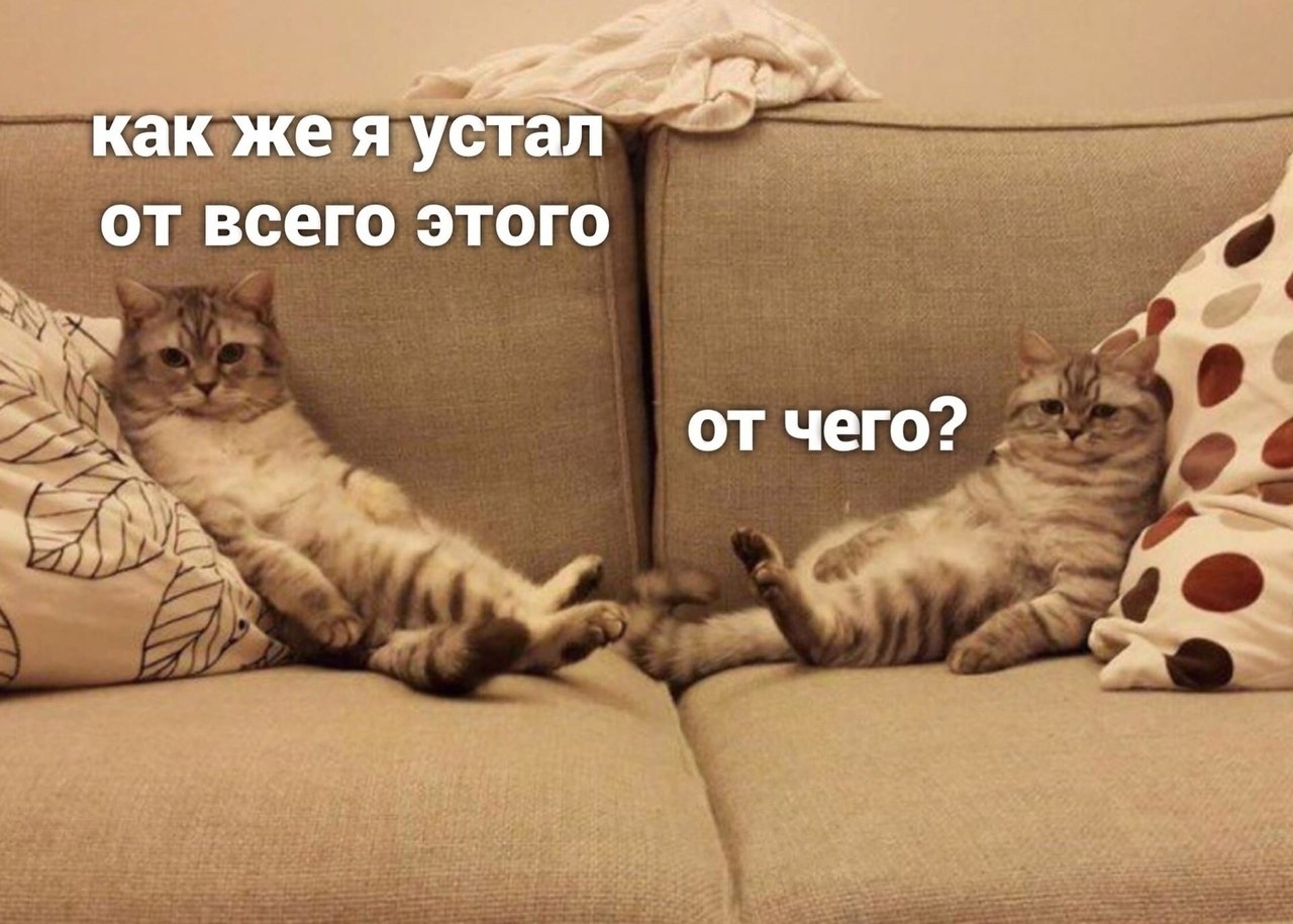   )
