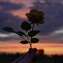 ���� �����, �������, 41 ��� - ��������� 20 �������� 2023 � ������ ���� ����������