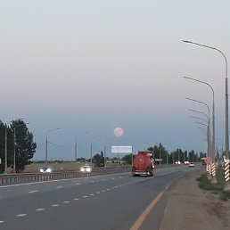 �����, ���������, 38 ���