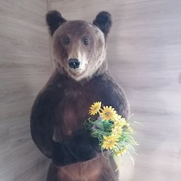 ��������, ���, 60 ���