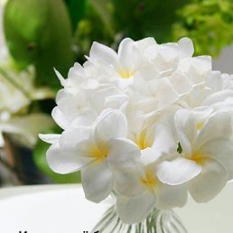 ���� �����, ���������, 64 ���� - ��������� 20 ���� 2023