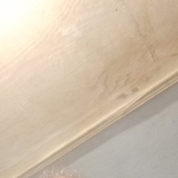 ���� ���������, ���������, 51 ��� - ��������� 21 ����� 2023