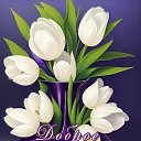 ���� ��������, ������, 58 ��� - ��������� 26 ������ 2023 � ������ ���� ����������