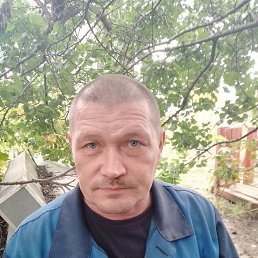 ���� ����, ������, 49 ��� - ��������� 3 �������� 2023