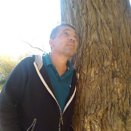 ���� �������, ����, 59 ��� - ��������� 22 ������� 2023