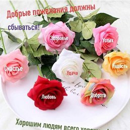 ���� ��������, �������, 74 ���� - ��������� 1 ���� 2023