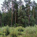 ���� ������, ��������, 47 ��� - ��������� 6 ������� 2023