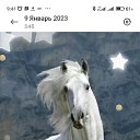 ���� �����, ������, 51 ��� - ��������� 5 ��� 2023 � ������ ���� ����������