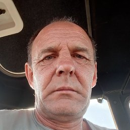 �������, �������, 54 ����