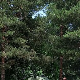 ������, ������������, 45 ���