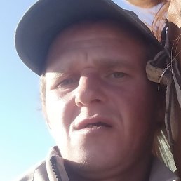 ����, ���������, 43 ����