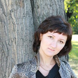 �����, ����������, 41 ���