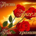 ���� Vera, ������ - ��������� 8 ����� 2023 � ������ ������ ��������
