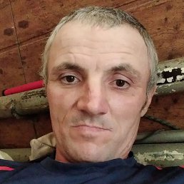 ������, ������, 40 ���