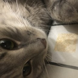 ���, �����������, 21 ���