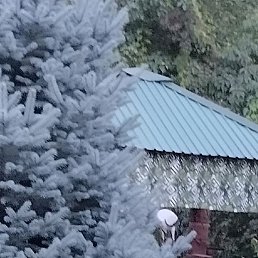 �����, ������, 60 ���