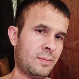 ������, ������, 41 ���