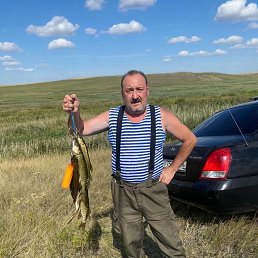 ���� ������, ����, 56 ��� - ��������� 15 �������� 2023