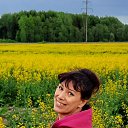 ���� �������, �����-��������� - ��������� 5 ���� 2023 � ������ ���� ����������