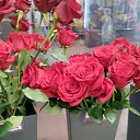 ���� Tobuk, ����, 49 ��� - ��������� 16 ��� 2023 � ������ ���� ����������