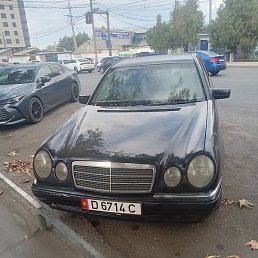 ���������, ��, 52 ����