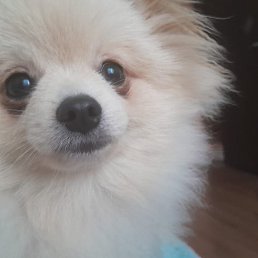 ���� ����, �����������, 37 ��� - ��������� 22 �������� 2023