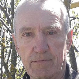 ������, �����, 65 ���