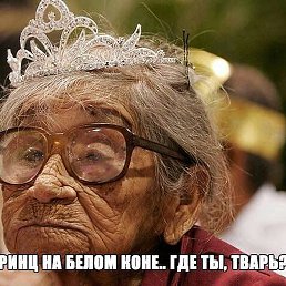 ����, ��������, 65 ���