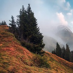 Vladimir, �����������