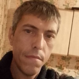 ����, �������-���������, 43 ����