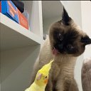 ���� �������, ���������, 26 ��� - ��������� 14 ������� 2023 � ������ ���� ����������