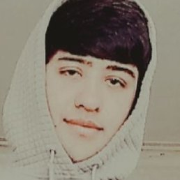 , , 20 