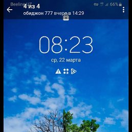 ���� �������, �������, 42 ���� - ��������� 31 ����� 2023