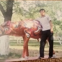 �����, ����, 37 ���