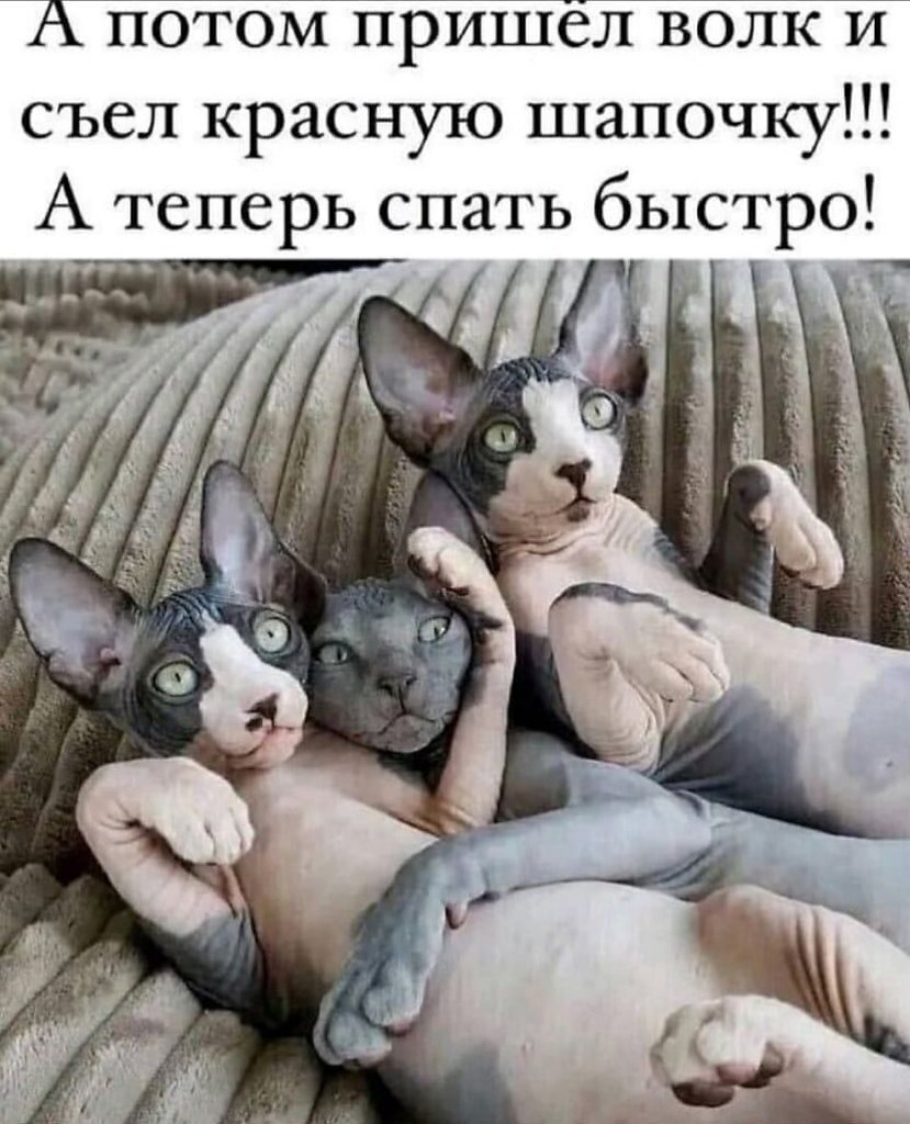 >^..^<