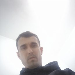 ������, ������, 37 ���