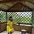 ���� Tina, ����� - ��������� 11 ���� 2023