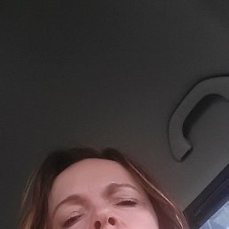 ����, �����-���������, 54 ����