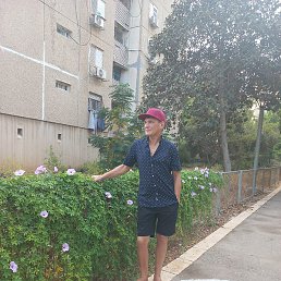 ������, ����-����, 53 ����