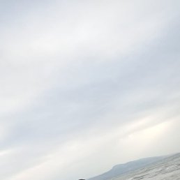 ����, ������, 41 ���