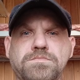 ������, ������, 41 ���