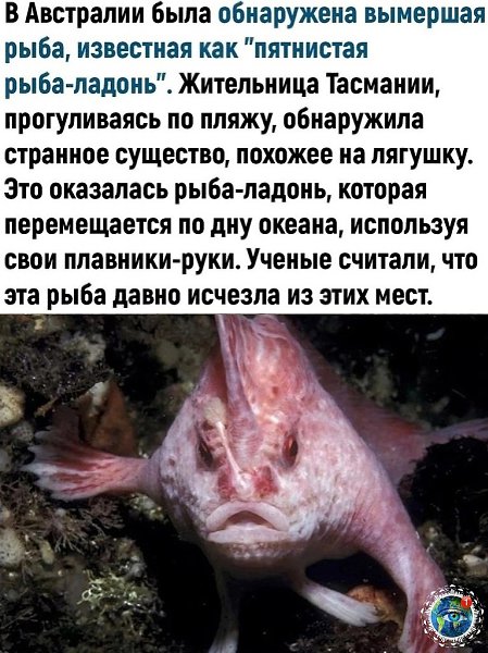 Этo жe пpeкpacнaя нoвocть, выглядит пpaвдa oнa жуткo