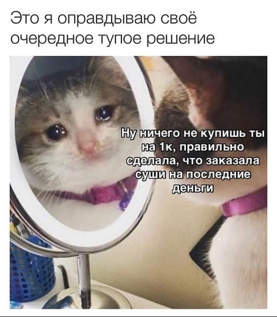    - 2  2023  20:43