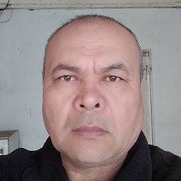 �����, �������, 44 ����