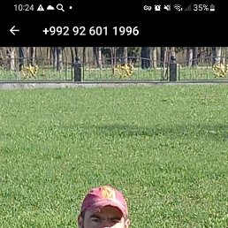 ����, �����-���������, 35 ���