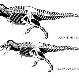 ������, ������, 42 ����