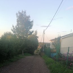 ���� ���, �����-���������, 43 ���� - ��������� 4 �������� 2023